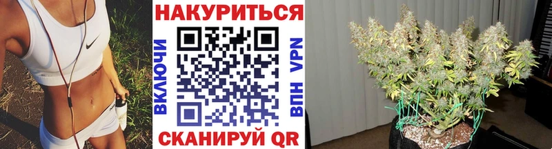Бошки марихуана THC 21%  Судогда 
